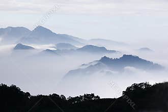 Mountains with trees and fog in monochrome color