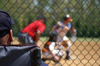Baseball Spectator