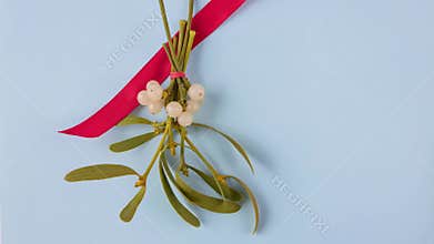 Red bow tied on a bunch of mistletoe
