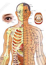 Acupuncture Chart - Chinese Medicine