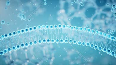 Cell membrane absorb the molecules, 3d rendering
