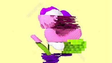 3d glitch of flower viola. Seamless looped. NFT concept.
