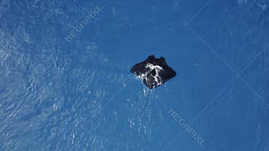 Black Manta Above