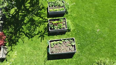 Top down view on stylish garden