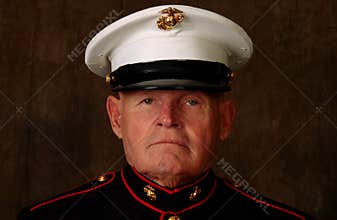 Marine Veteran