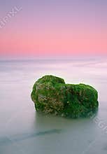 Rock, moss and sea
