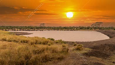 beautiful African landscape at sunset