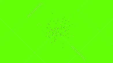 3D animation featuring a swarm of flies flying around over a green background.