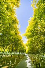 Tianjin Xiqing Country Park natural scenery