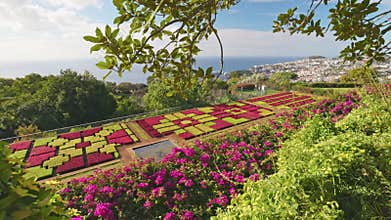 Rich flora and flowers in botanical garden of