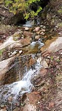 Babbling brook in the mountains