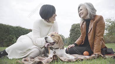 Smiling young and senior women sitting on green meadow caressing dog&#x27;s head. Portrait of happy Caucasian daughter and