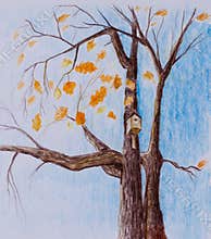 Hand drawn sketch of a tree