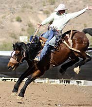 Rodeo Bucking Bronc Rider