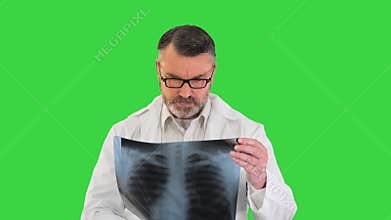 Doctor wearing lab coat analyzing X-ray image of lungs on a Green Screen, Chroma Key.