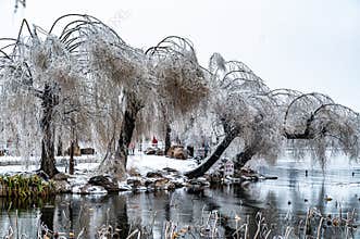 Winter landscape of Nanhu Park in Changchun, China after rain and snow