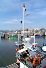 Fishing boats anchored