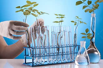 Ecologic laboratory