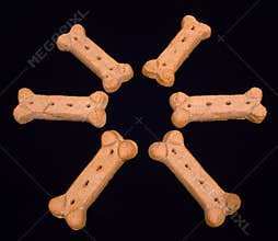 Dog Biscuit Circle