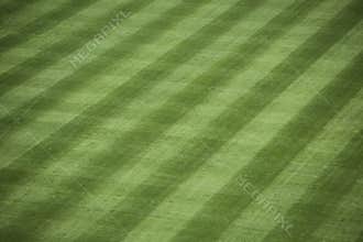 Baseball Stadium Grass