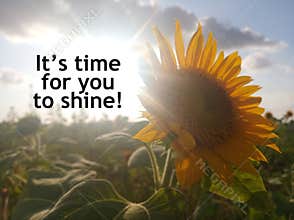 Inspirational motivational quote - It is time for you to shine. Self love care and confidence concept.