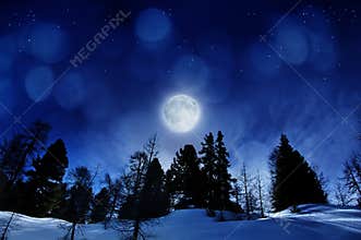 Beautiful winter night