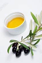 Olives twig and pure olive oil