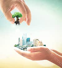 Hand Placing Miniature Green Tree into Modern Cityscape held by Another Hand for Urban Sustainability