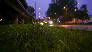 Vehicles driving on road at rainy night, low angle shot of grass under bridge