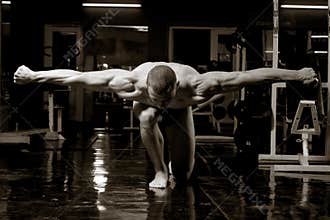 Artistic bodybuilder