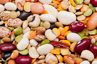 Mix of 17 beans and barley