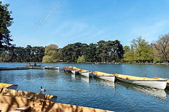 Parisians boating on the lower lake in the Bois de Boulogne - Paris, France