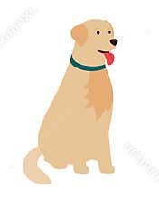 Dog golden retriever, sitting. flat vector illustration