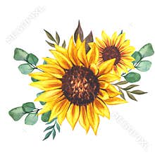 Watercolor sunflowers bouquet, hand painted sunflower bouquets, sunfower flower arrangement. Wedding invitation clipart elements.