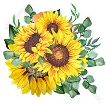 Watercolor sunflowers bouquet, hand painted sunflower bouquets, sunfower flower arrangement. Wedding invitation clipart elements.