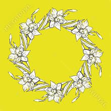 Floral circle wreath with outline hand drawn daffodil flowers on yellow.