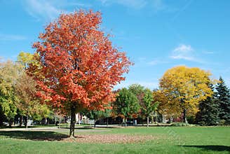 Humber Park, Toronto