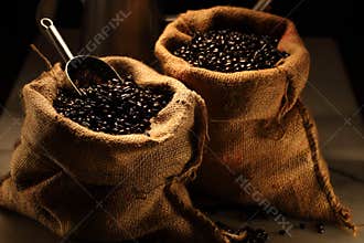 Arabica Coffee