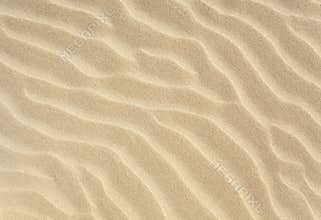 Sand texture