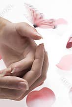 Hands butterfly