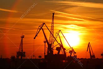 Cranes