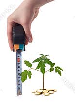 Hand measures plant growth