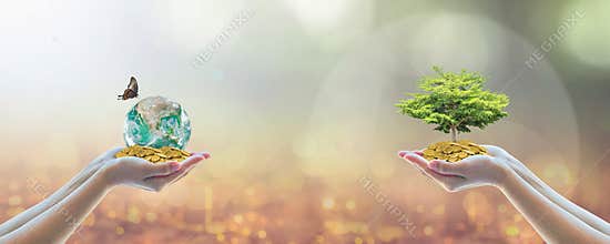 Sustainable global business investment in environment, social, governance (ESG) and CSR concept in clean industry