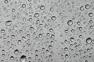 Water drops B&W