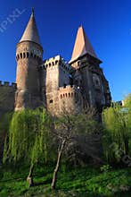 Corvinesti Castle