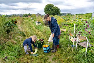 Grandma and granddaughter are happy about the rich vegetable harvest from their own allotment despite the bad weather conditions