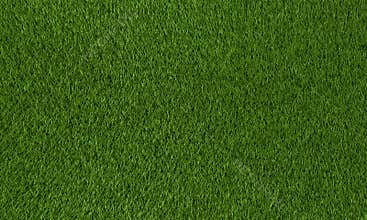 Grass texture