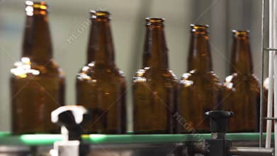 Beer bottles on conveyor belt. Cleaning stage. brewery. close-up.