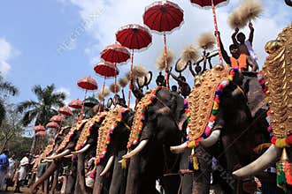 Thrissur Pooram