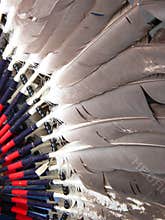Dance Costume Feathers